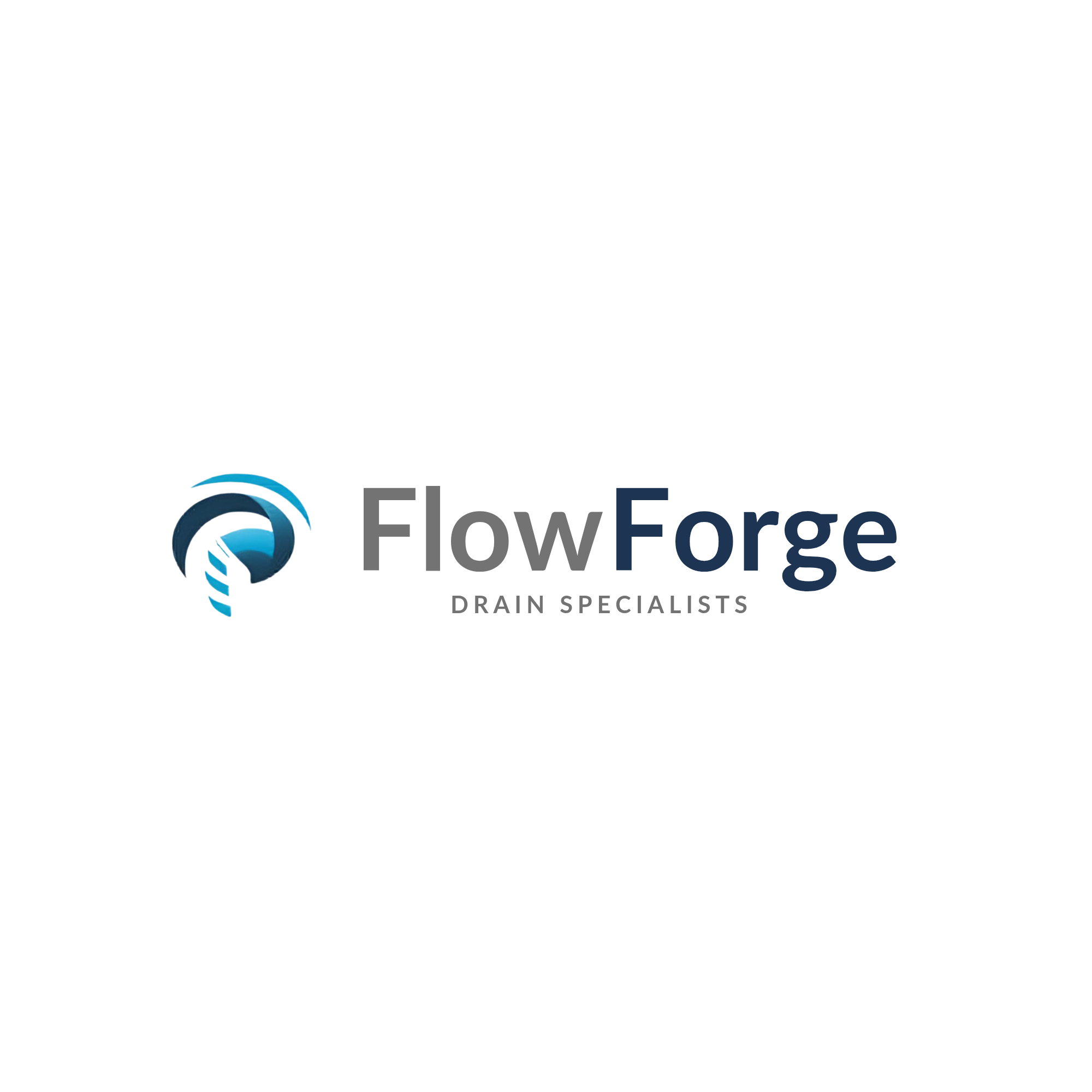 FlowForge Drain Specialists logo
